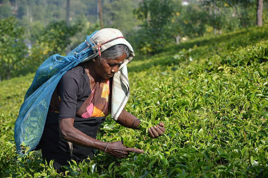 कृषि क्षमता को अनलॉक करना: किसान ऑल-पर्पस टर्म लोन को समझना