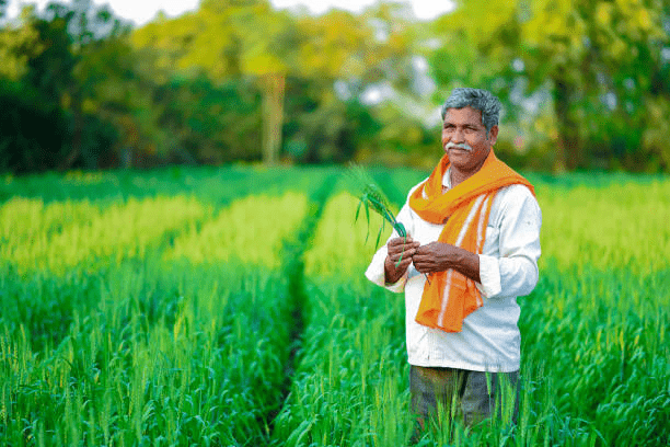 PM Fasal Bima yojana - पास होनी चाहिए ये बैंक डिटेल्स, तभी मिलेगा पीएम फसल बीमा योजना का लाभ। 2 PM Fasal Bima yojana